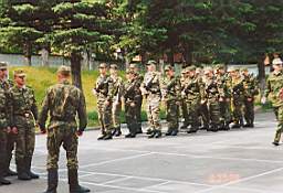 P-08.jpg