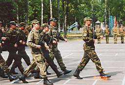 P-10.jpg