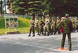 P-13.jpg