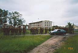 X65X-01.jpg