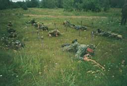 g-33.jpg